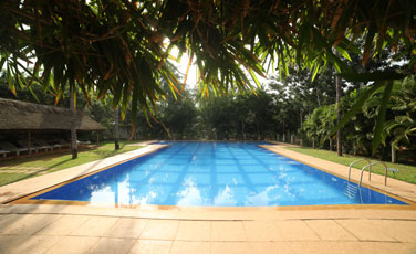 Men Swimming Pool