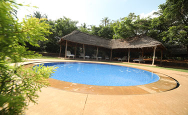 Kids Swimming Pool